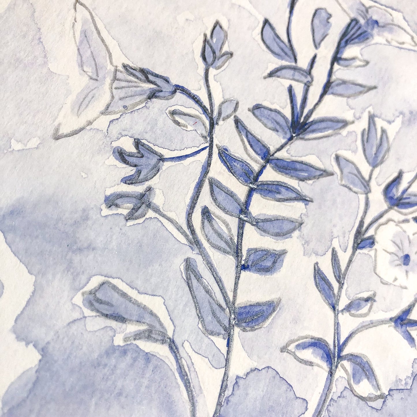 Botanical Studies No. 15